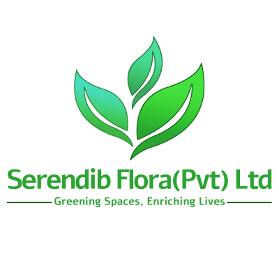 Serendib Pvt Ltd