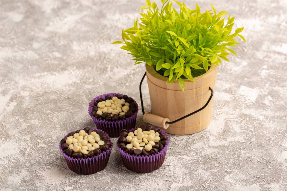 Plants In Cerebera Nuts